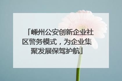 嵊州公安创新企业社区警务模式，为企业集聚发展保驾护航