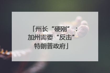州长“硬刚”：加州需要“反击”特朗普政府