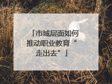 市域层面如何推动职业教育“走出去”