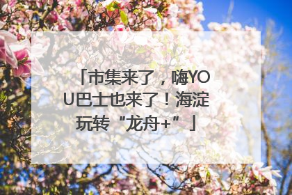市集来了，嗨YOU巴士也来了！海淀玩转“龙舟+”