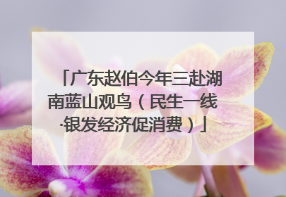 广东赵伯今年三赴湖南蓝山观鸟（民生一线·银发经济促消费）