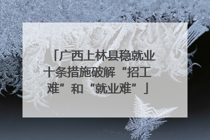 广西上林县稳就业十条措施破解“招工难”和“就业难”