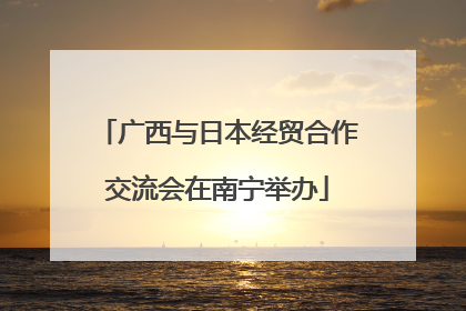 广西与日本经贸合作交流会在南宁举办