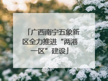 广西南宁五象新区全力推进“两港一区”建设