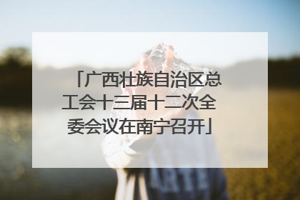 广西壮族自治区总工会十三届十二次全委会议在南宁召开