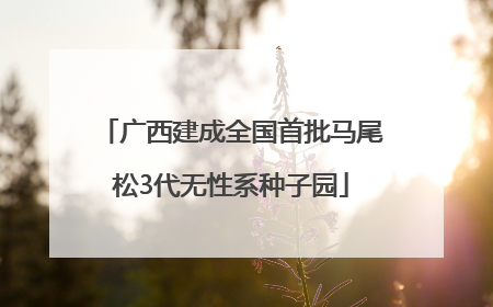 广西建成全国首批马尾松3代无性系种子园