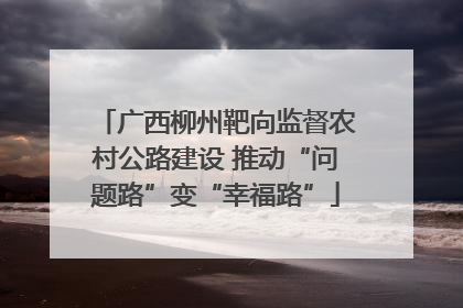 广西柳州靶向监督农村公路建设 推动“问题路”变“幸福路”