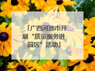 广西河池市开展“质量服务进园区”活动