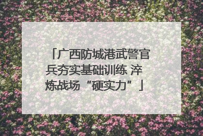 广西防城港武警官兵夯实基础训练 淬炼战场“硬实力”