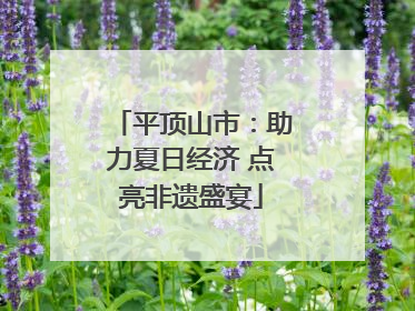 平顶山市：助力夏日经济 点亮非遗盛宴