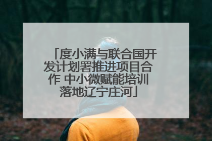 度小满与联合国开发计划署推进项目合作 中小微赋能培训落地辽宁庄河