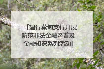 建行蔡甸支行开展防范非法金融暨普及金融知识系列活动
