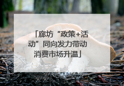 廊坊“政策+活动”同向发力带动消费市场升温