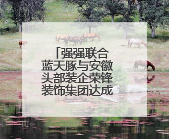 强强联合 蓝天豚与安徽头部装企荣锋装饰集团达成战略合作