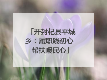 开封杞县平城乡：履职践初心 帮扶暖民心