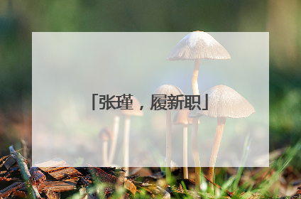 张瑾，履新职