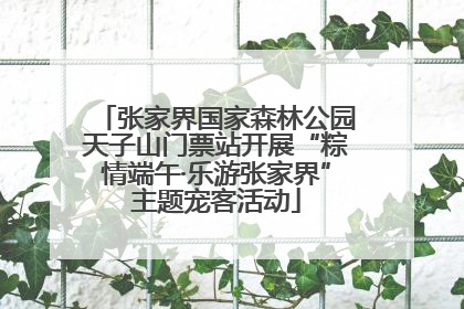 张家界国家森林公园天子山门票站开展“粽情端午·乐游张家界”主题宠客活动