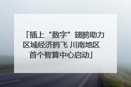 插上“数字”翅膀助力区域经济腾飞 川南地区首个智算中心启动
