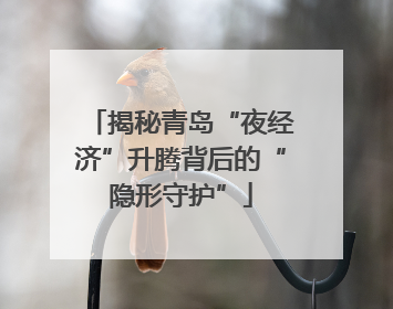 揭秘青岛“夜经济”升腾背后的“隐形守护”