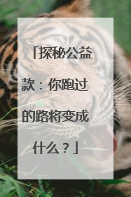 探秘公益款：你跑过的路将变成什么？