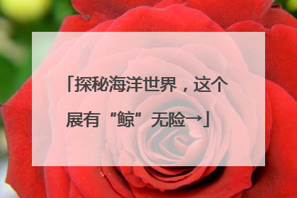 探秘海洋世界，这个展有“鲸”无险→