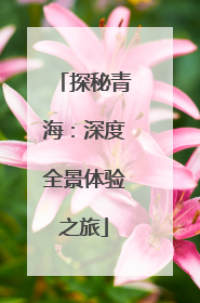 探秘青海：深度全景体验之旅