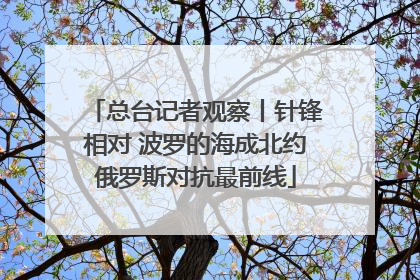 总台记者观察丨针锋相对 波罗的海成北约俄罗斯对抗最前线