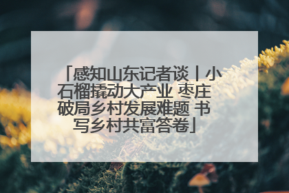 感知山东记者谈丨小石榴撬动大产业 枣庄破局乡村发展难题 书写乡村共富答卷