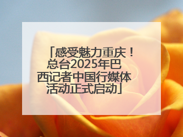 感受魅力重庆！总台2025年巴西记者中国行媒体活动正式启动
