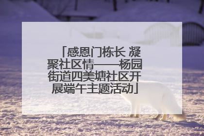 感恩门栋长 凝聚社区情——杨园街道四美塘社区开展端午主题活动