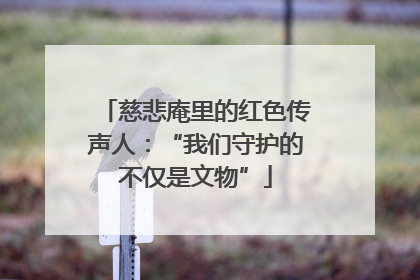 慈悲庵里的红色传声人：“我们守护的不仅是文物”