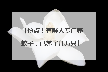 慎点！有群人专门养蚊子，已养了几万只