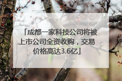 成都一家科技公司将被上市公司全资收购，交易价格高达3.6亿
