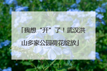我想“开”了！武汉洪山多家公园荷花绽放