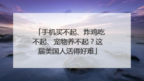 手机买不起、炸鸡吃不起、宠物养不起？这届美国人活得好难