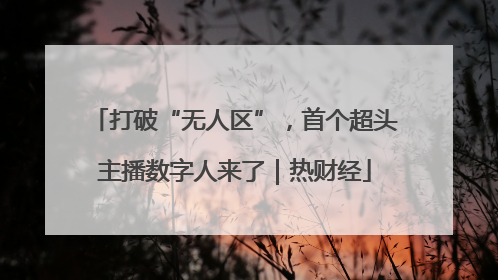 打破“无人区”，首个超头主播数字人来了｜热财经