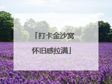 打卡金沙窝 怀旧感拉满