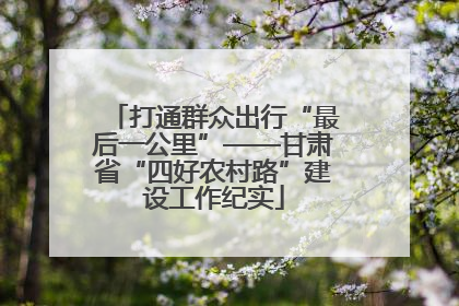 打通群众出行“最后一公里”——甘肃省“四好农村路”建设工作纪实