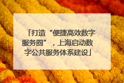 打造“便捷高效数字服务圈”，上海启动数字公共服务体系建设