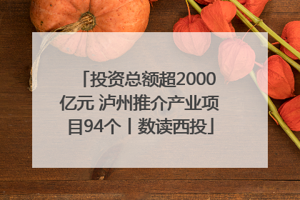 投资总额超2000亿元 泸州推介产业项目94个丨数读西投