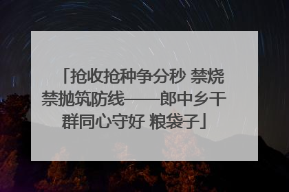 抢收抢种争分秒 禁烧禁抛筑防线——郎中乡干群同心守好 粮袋子