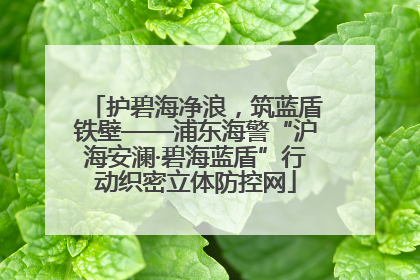 护碧海净浪，筑蓝盾铁壁——浦东海警“沪海安澜·碧海蓝盾”行动织密立体防控网