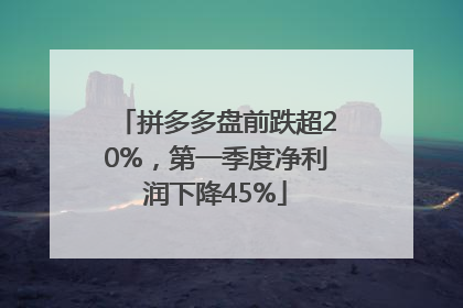 拼多多盘前跌超20%，第一季度净利润下降45%