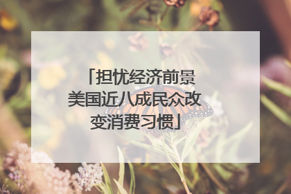 担忧经济前景 美国近八成民众改变消费习惯