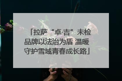 拉萨“卓·吉”未检品牌以法治为盾 温暖守护雪域青春成长路