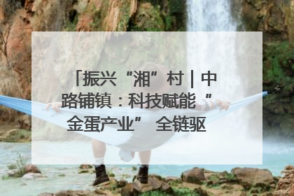 振兴“湘”村｜中路铺镇：科技赋能“金蛋产业” 全链驱动乡村振兴