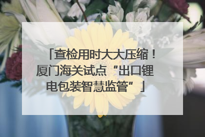 查检用时大大压缩！厦门海关试点“出口锂电包装智慧监管”