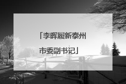 李晖履新泰州市委副书记