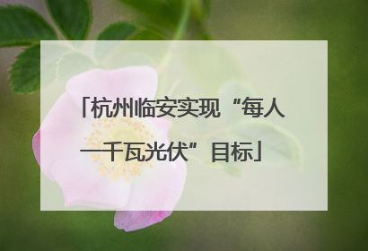 杭州临安实现“每人一千瓦光伏”目标