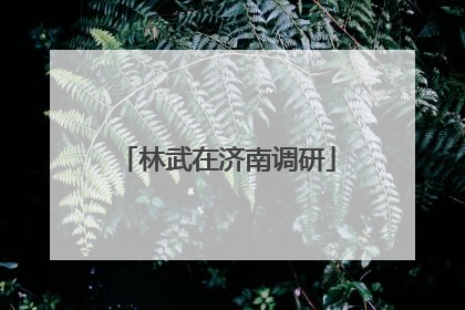 林武在济南调研